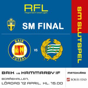 20250412-HIF-SM-RFL